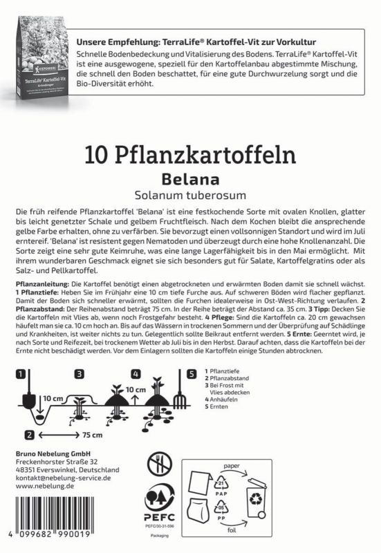 KIEPENKERL PROFI LINE Pflanzkartoffel 'Belana', festkochend, 10 Stück - Gallerie Bild 2